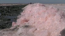 Vom Exportschlager zur Bückware: Rosa Salz von der Krim
