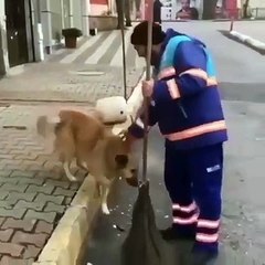 Le chien soulève la patte et ce qui se passe donne des frissons