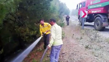 Ormanlık alana uçan otomobil alev aldı