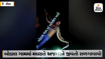 ડીસાના બોડાલ ગામમાં મદ્યરાતે આગ પ્રગટાવી, યુવાને અજગરને સળગાવી દીધો