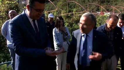 Ordu’da soya üretimi denemeleri olumlu sonuç verdi