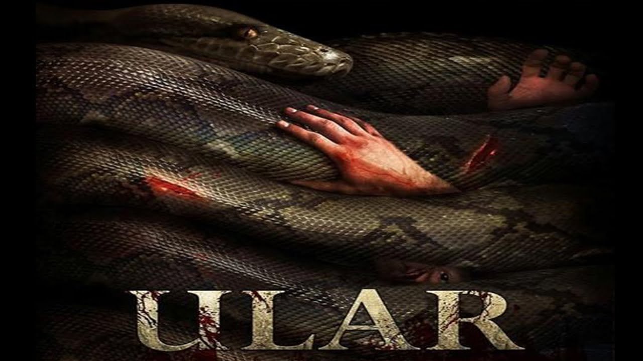 Fisting boyicha Ginnesning rekordlar kitobi