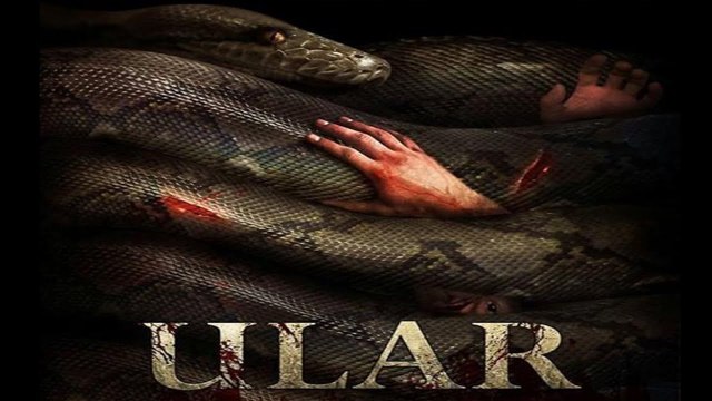 Mening amakivachchamni sikdi