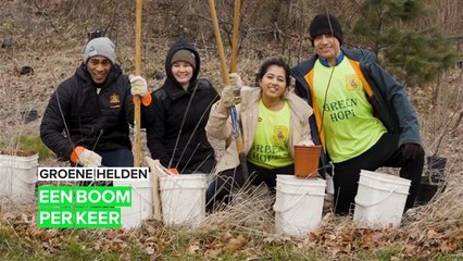 Groene helden: soms is een boom planten al genoeg