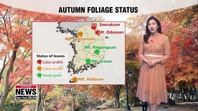 Nice weather this weekend to go see the autumn foliage