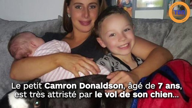 Un garçon de 7 ans, créé une affiche pour son chien volé !