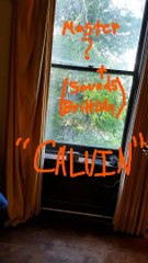 Is This President Coolidge? Swannanoa Palace Lunar Paranormal Virginia