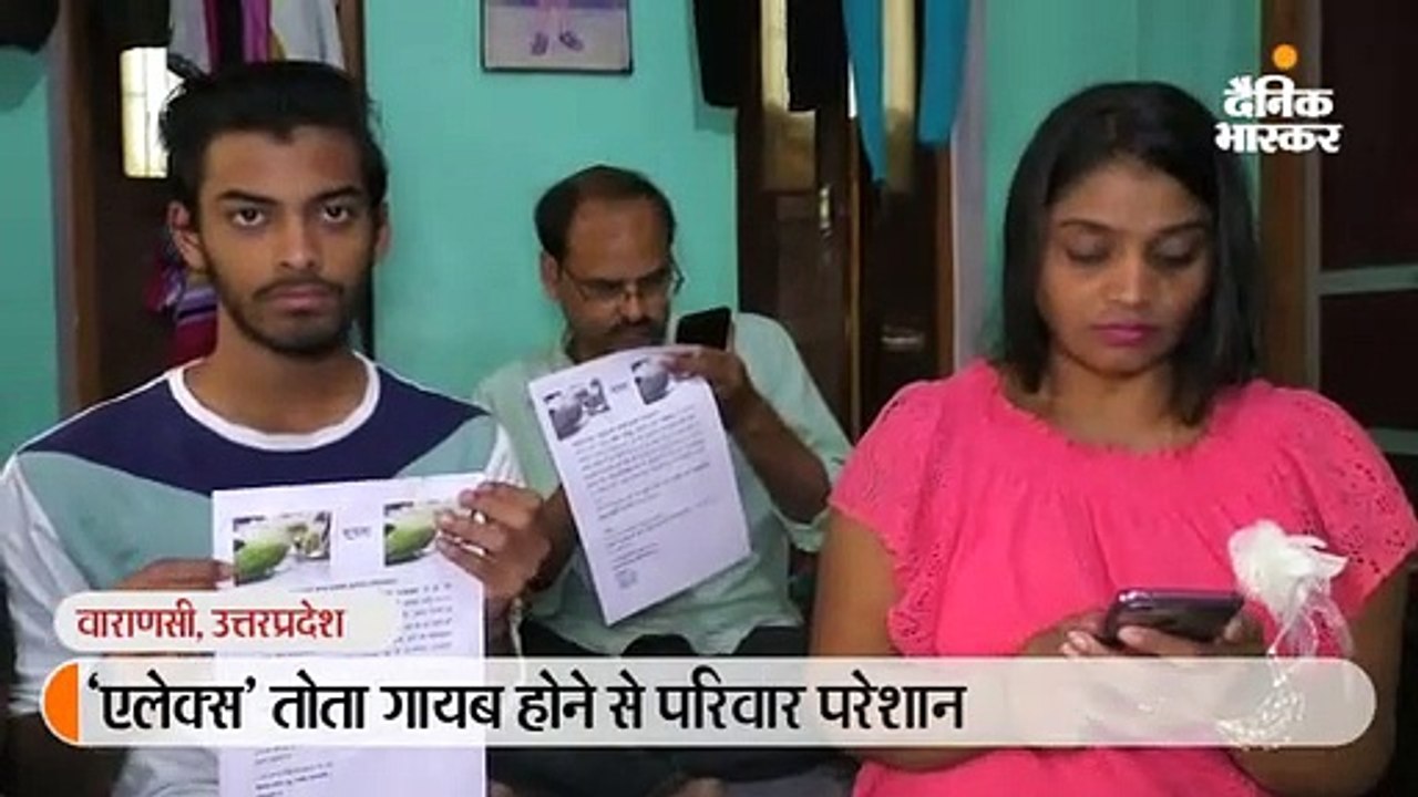 'एलेक्स' तोते के लिए बेचैन परिवार