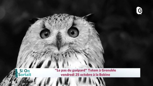 Totem à La Bobine, Comédie de Grenoble, Kayak'lo de Michel Lambu- 24 OCTOBRE 2019