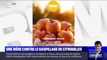 Au Royaume-Uni, une start-up lance une bière contre le gaspillage des citrouilles d'Halloween