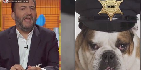 Según TV3, los Mossos son unos: "putos perros de mierda, malparidos, analfabetos”