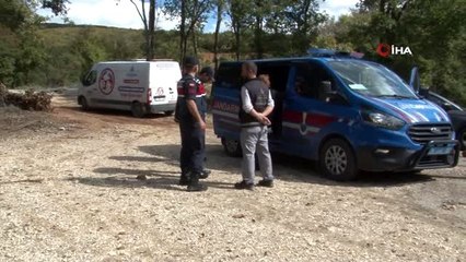 Ormana bırakılmak üzere toplanan köpeklerin yardımına hayvanseverler yetişti