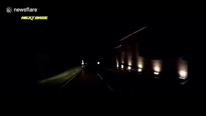 Two deers get lucky escape as UK driver has great reactions