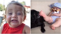 99 % Lose this TRY NOT TO LAUGH Challenge - Funniest Babies Vines