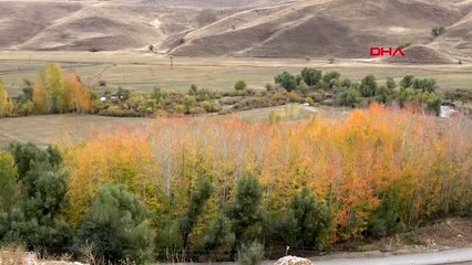 Hakkari tehditlere rağmen 35 yıldır türk bayrağını dalgalandırıyor
