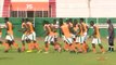 Éliminatoires Chan 2020 Côte d'ivoire - Niger : Entrainement des Éléphants