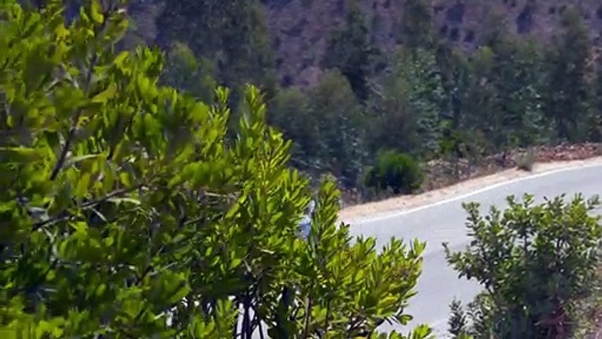 BMW M8 Competition Cabriolet (Driving)