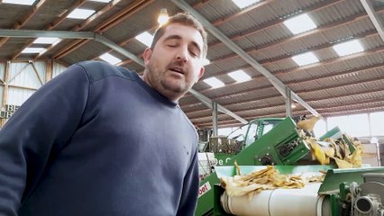 DNA - Interview de Luc Heinrich, tabaculteur à Ebersheim dans le Bas-Rhin