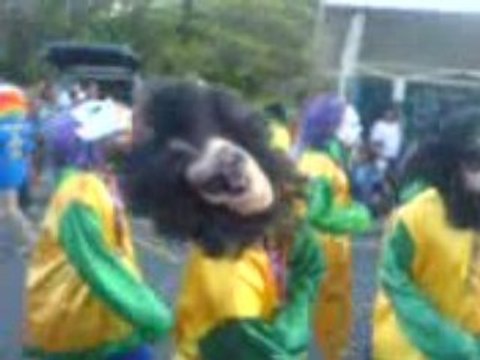 CARNAVAL 2008 A MOULE.05/02/2008 en GUADELOUPE