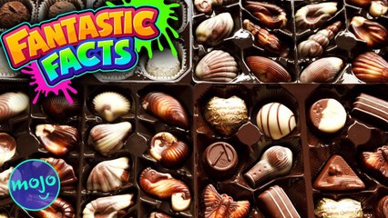 What You (Probably) Didn't Know about Chocolate!