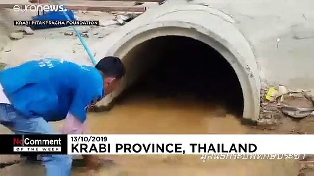 گلچین ویدئوهای بدون شرح هفته؛ از زنده‌گیری مار تا نجات جان زنی در مترو