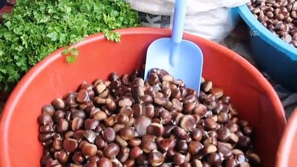 Bozkurt halkı kestaneden yılda 2 milyon lira kazanıyor - KASTAMONU