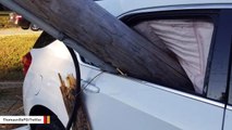 Narrow Escape After Utility Pole Impales Car