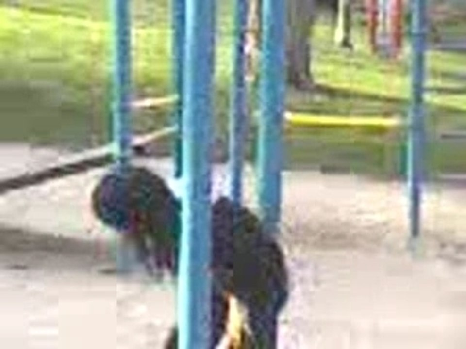 Vidéo-0004