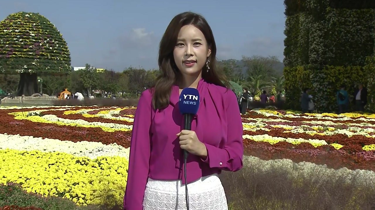 [날씨] 맑고 선선한 가을...국화 향 가득한 남도 / YTN