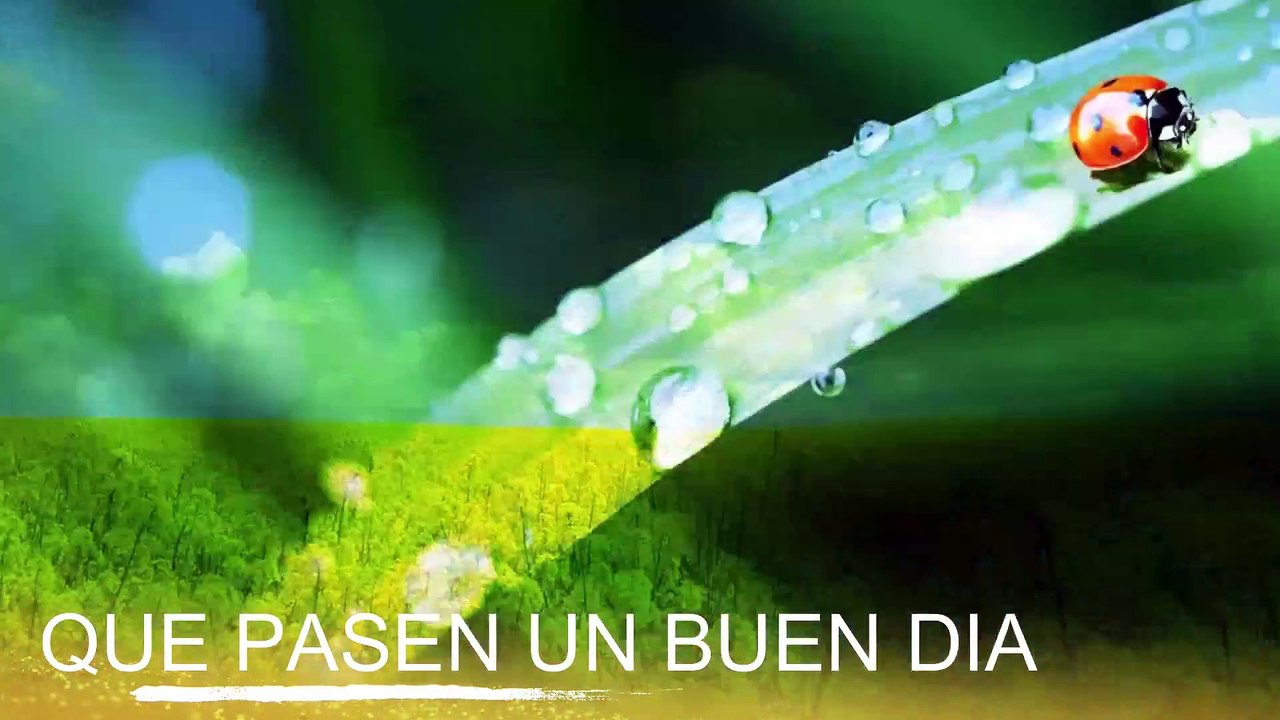 Conoce El Tiempo de Hoy Sábado 19 de Octubre de 2019
