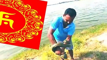 DANGEROUS FISH,  तुरंत देखिये !          - gondia - गोंदिया ( 360 X 640 )