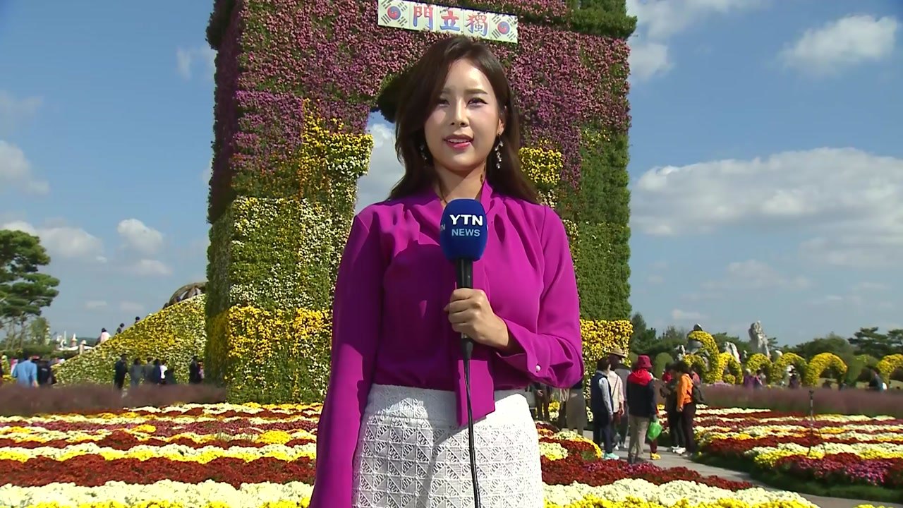 [날씨] 가을 향기 가득한 주말...국화 축제 한창 / YTN