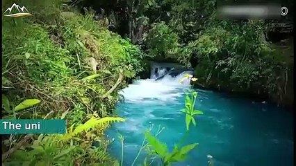 Blue River You Can Only Find in West Papua!