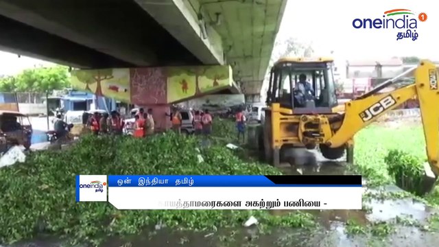 வைகை ஆற்றில் தண்ணீர் வரத்தால் ஆகாயத்தாமரைகளை அகற்றும் பணியை மாநகராட்சி நிர்வாகம் மேற்கொண்டுள்ளது