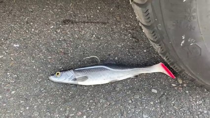 Crushing Crunchy & Soft Things by Car! EXPERIMENT: BIG FISH VS CAR