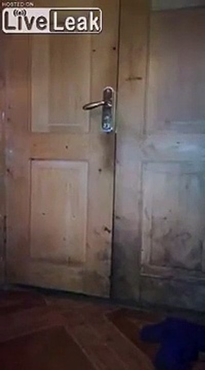 Cet ours... rentre dans la maison par la porte d'entrée !