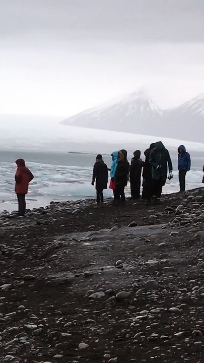 Pris au piège sur un morceau de banquise il doit sauter à l'eau !