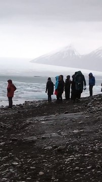 Pris au piège sur un morceau de banquise il doit sauter à l'eau !