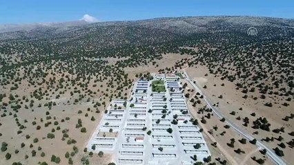 Sokak hayvanlarına "konforlu" barınak