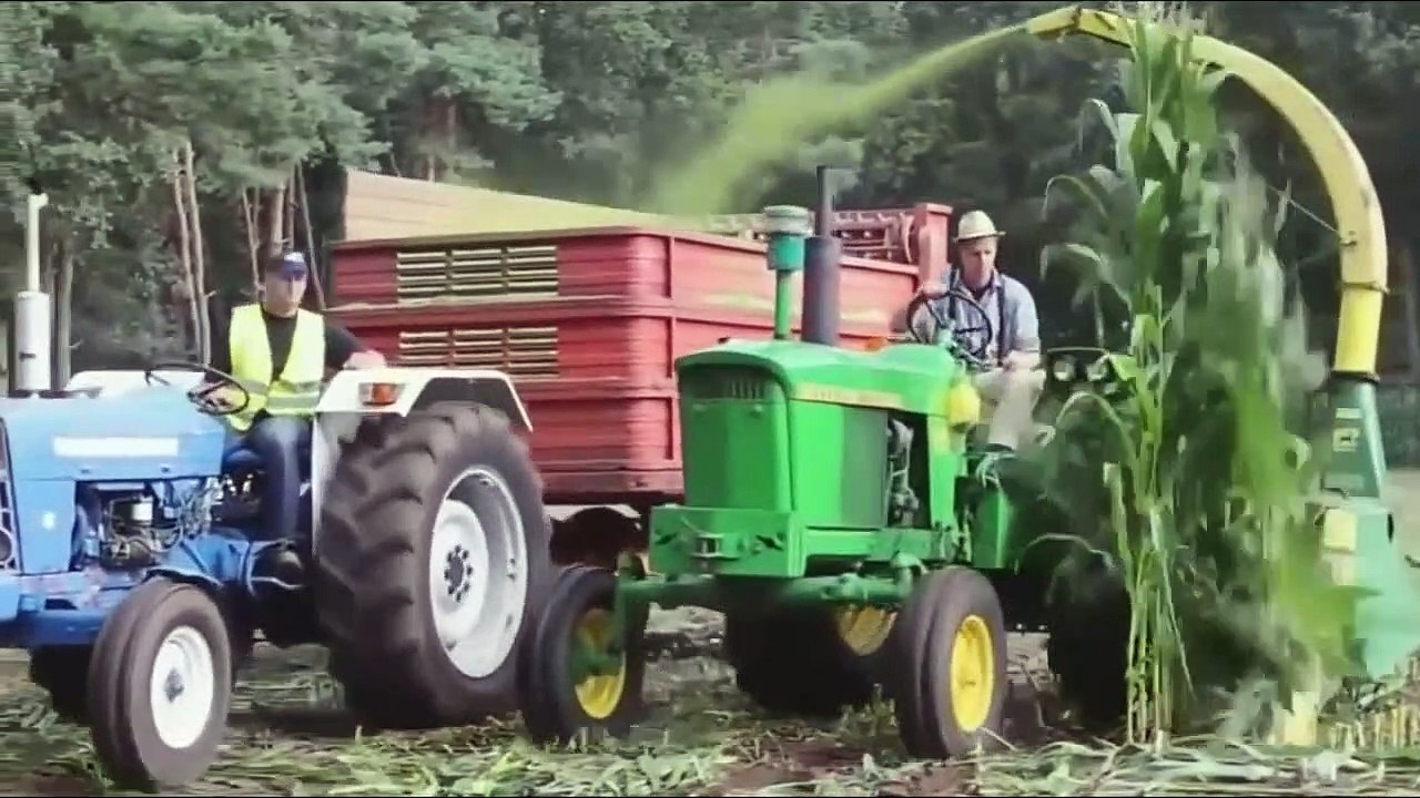 World Modern Agriculture,Cutting Flower Tulips,Cabbage harvesting