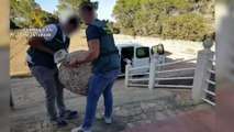 Guardia Civil recupera más de 100 piezas históricas expoliadas