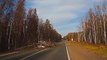 Un arbre tombe sur la route et détruit une voiture qui arrive au même moment