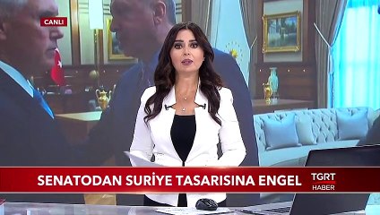 Senatodan Suriye Tasarısına Engel