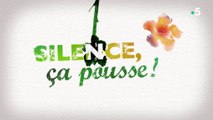 PseudoSciences sur le service public - Silence, ça pousse ! - 11 janvier 2019 - France 5