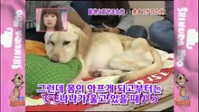 19★[루시] 시한부 3개월의 개