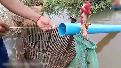 Here's How to Catch Fish the Easy Way
