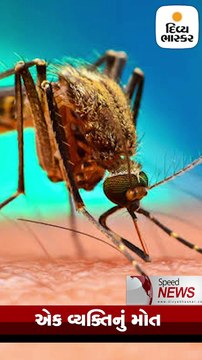 Speed News: વડોદરામાં L&Tની બિલ્ડિંગનો ભાગ ધરાશાયી થતાં 1 વ્યક્તિઓનું મોત