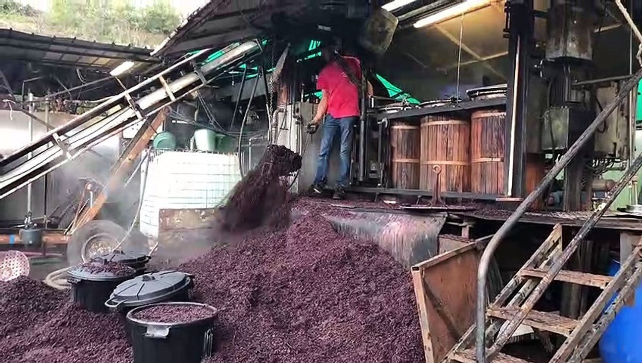 La fête de l’alambic de Mauves a pris la pluie