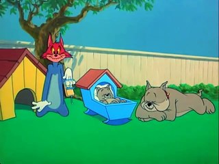 رسوم متحركة توم وجيري