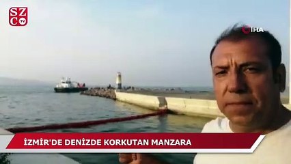 İzmir'de denizde korkunç manzara!